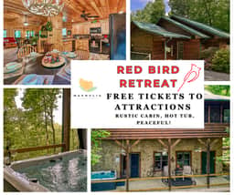 Red Bird Retreat