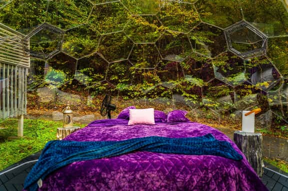 Wonderland In The Smokies